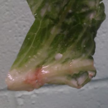 Vallejo Pizza - Ha! Heres the pic ! Hope youre all as disgusted as i was. - Pizza Near Me - Vallejo, California Vallejo Pizza - Ha! Heres the pic ! Hope youre all as disgusted as i was. - Pizza Near Me - Vallejo, California