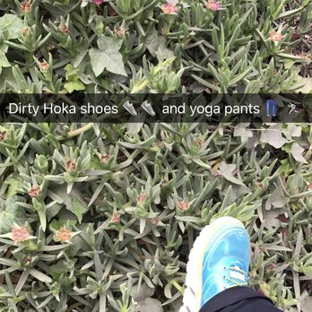 Rohr Park - Parks Near Me - Bonita, California Rohr Park - Parks Near Me - Bonita, California