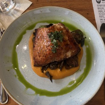 Ulele - Steelhead Trout - New American Near Me - Tampa, Florida Ulele - Steelhead Trout - New American Near Me - Tampa, Florida