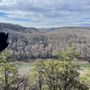 Photo of Buzzard Rock Trail