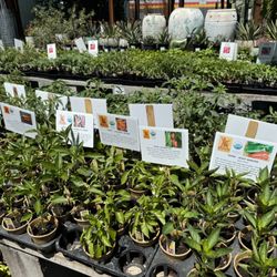 Cloverdale Home & Garden