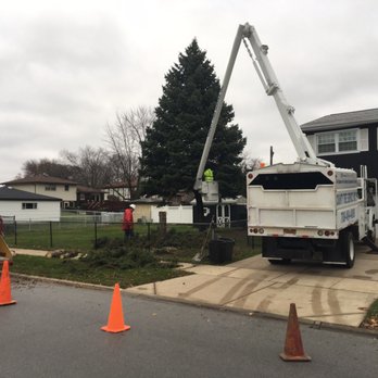 County Tree Service - Tree Services Near Me - Stickney, Illinois