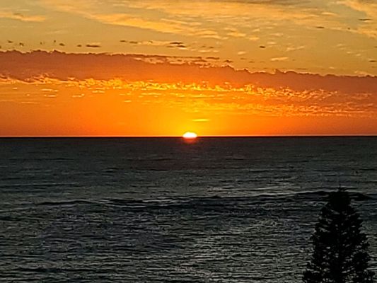 InterContinental Sydney Coogee Beach by IHG by null