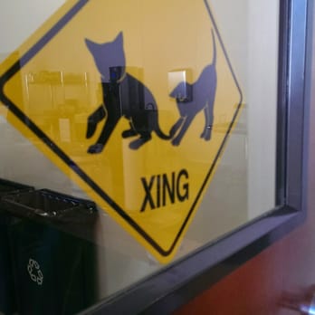 Cat Town - Animal Shelters Near Me - Oakland, California Cat Town - Animal Shelters Near Me - Oakland, California