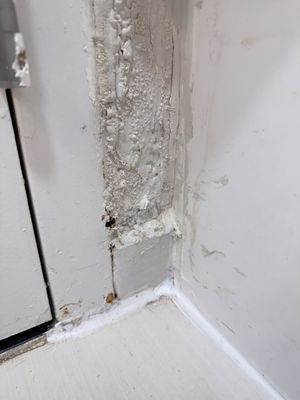 Fairfield by Marriott Inn & Suites Orlando International Drive/Convention Center by null