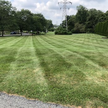 Oasis Property Services - Lawn Services Near Me