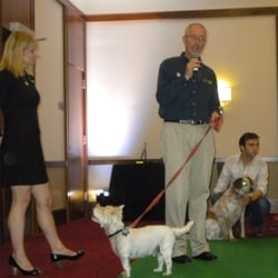Bark Busters Home Dog Training Fredericksburg - Dog Show, Alexandria