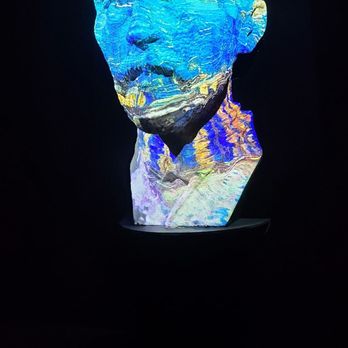Van Gogh - Art Tours Near Me - Schenectady, New York
