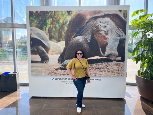 Oceanogràfic València by null