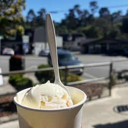 Churro Honey Ice Cream Churro Honey Ice Cream