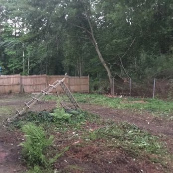 United Tree Service - AFTER GUIDO & the GUYS left side yard - Tree Services Near Me