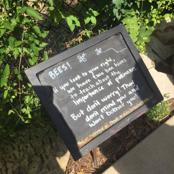 Allen Centennial Gardens - Home to some bees - Parks Near Me - Madison, Wisconsin