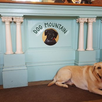 Dog Mountain - Cashing out at Dog Mtn. - Dog Parks Near Me - St. Johnsbury, Vermont