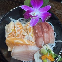 Sashimi Sashimi
