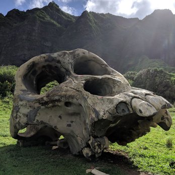 Kualoa Ranch - Tours Near Me - Kaneohe, Hawaii