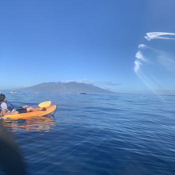 Hike Maui - See a whale popping up! - Tours Near Me - Kahului, Hawaii Hike Maui - See a whale popping up! - Tours Near Me - Kahului, Hawaii