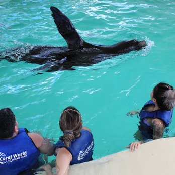 Coral World Ocean Park - Aquariums Near Me - St Thomas, Virgin Islands Coral World Ocean Park - Aquariums Near Me - St Thomas, Virgin Islands