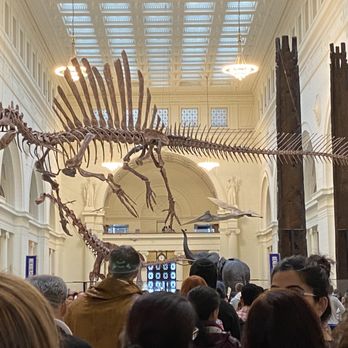 Field Museum - The entrance is very impressive! - Museums Near Me - Chicago, Illinois Field Museum - The entrance is very impressive! - Museums Near Me - Chicago, Illinois