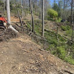 Image Landscaping & More - Cleaning up Trees and debris that were damaged/left by hurricane Helene.