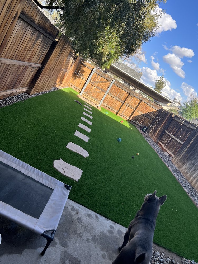 DESERT OASIS TURF Updated September 2024 27 Photos & 16 Reviews