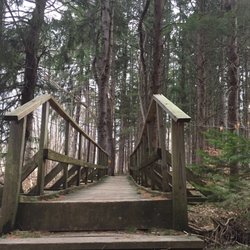 Erie County Forest