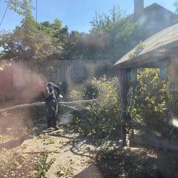 Easy Stumps Tree Services - During the process. - Tree Services Near Me - Folsom, California Easy Stumps Tree Services - During the process. - Tree Services Near Me - Folsom, California