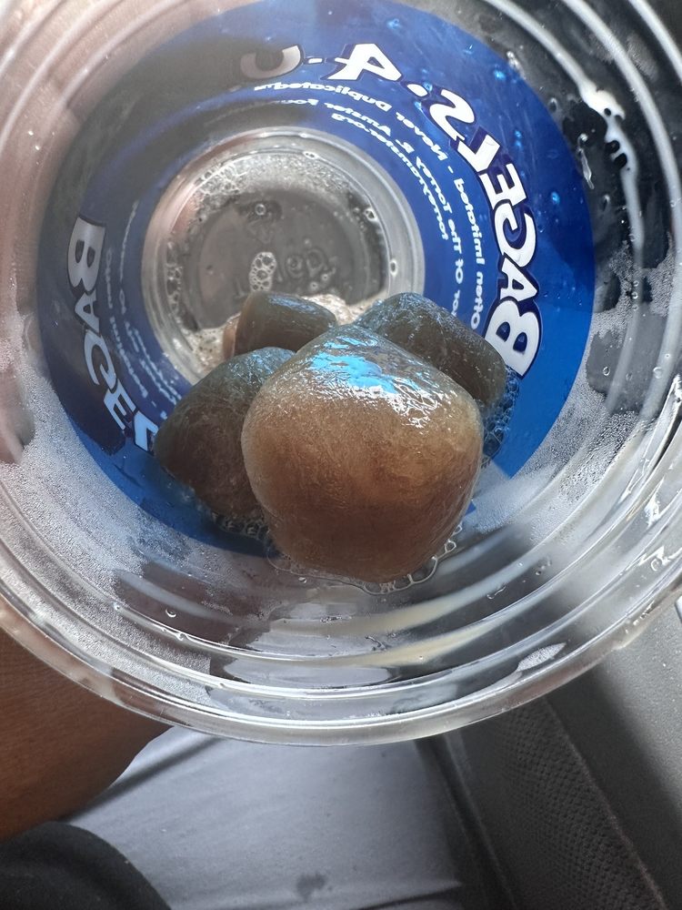 BAGELS4U HILLSBOROUGH Updated August 2024 83 Photos & 93