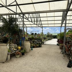 Golden Gate Nursery - Under the roof at Golden Gate Nursery