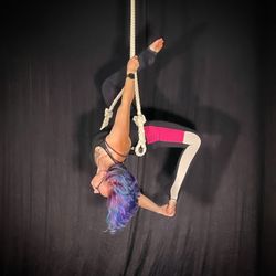 Vertical Dance Co.