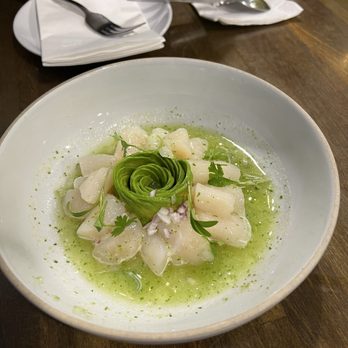 Holbox - Scallop Ceviche - Latin American Near Me - Los Angeles, California Holbox - Scallop Ceviche - Latin American Near Me - Los Angeles, California