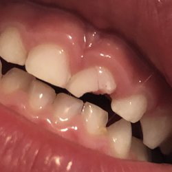 Shannon Russell, DDS