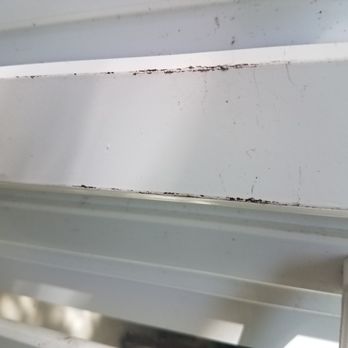 Bugs Exterminators Termite & Pest Services - Scratched handles - Pest Control Near Me - Pompano Beach, Florida