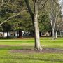 Photo of Charter Pointe Park