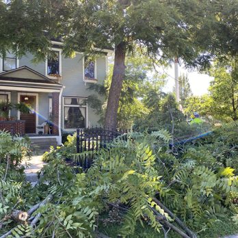 Green Arbor - Tree Services Near Me - Indianapolis, Indiana