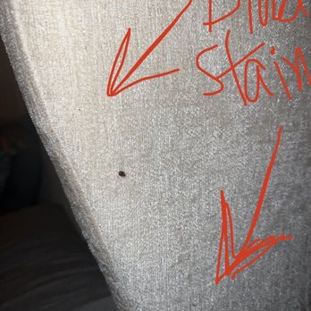 New Spirit Vacation Homes - Bed bug on bed frame - Vacation Rental Agents Near Me - Idyllwild, California