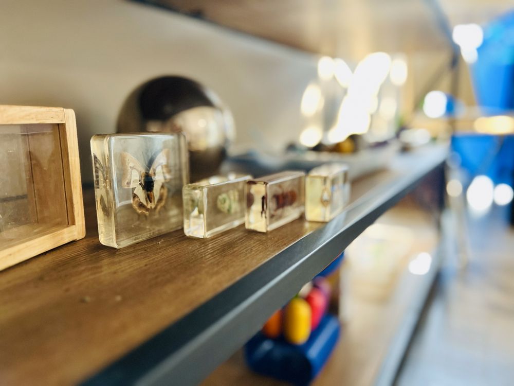 L&L Academy and Preschool - childcare center in Chicago, IL