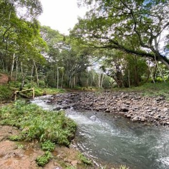 Hoopii Falls - Hiking Near Me - Kapaa, Hawaii
