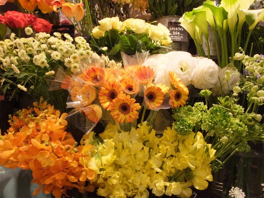 青山フラワーマーケット横浜ジョイナスb1店 10 Photos Florists 西区南幸1 4 横浜市 神奈川県 Japan Phone Number Yelp