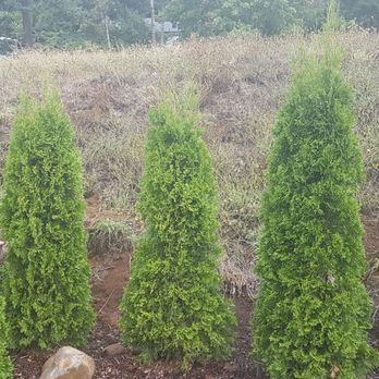 Husky Fence - before - Fences & Gates Near Me - Vancouver, Washington Husky Fence - before - Fences & Gates Near Me - Vancouver, Washington