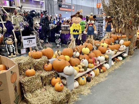 Home Services at the Home Depot