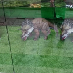 Wonder Of Dinosaurs