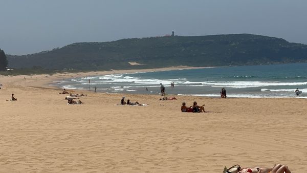 Palm Beach by null