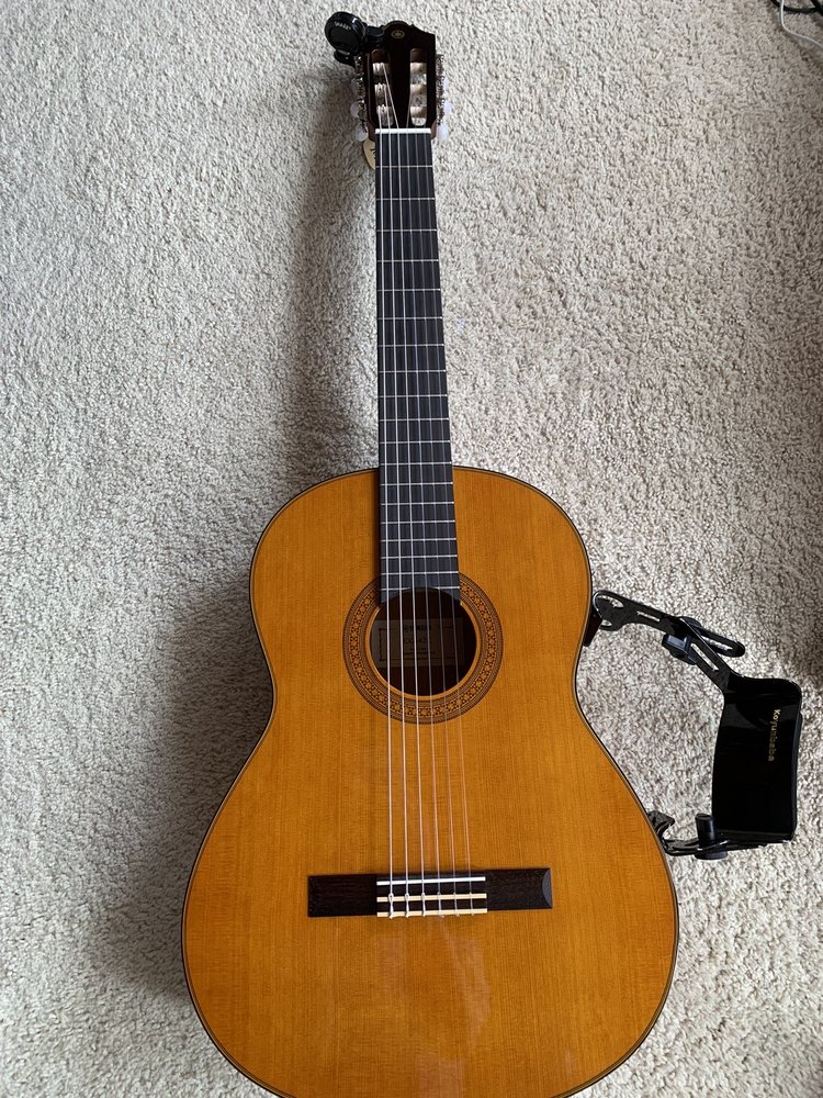 TAPESTRY MUSIC VICTORIA Updated August 2024 1824 Government Street, Victoria, British