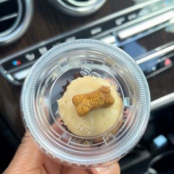 Smallcakes Pearland Parkway - Pup cake - Cupcakes Near Me - Houston, Texas