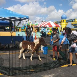 Opa-Locka Hialeah Flea Market - Petting zoo with baby PONY! @ La Boly Farm, inc.
