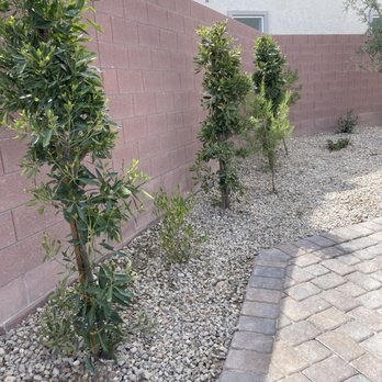 All American Landscape - Landscaping Near Me - Las Vegas, Nevada