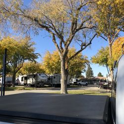 Happy Time Rv Park Reservations - Big trees are nice but blocked the satellite