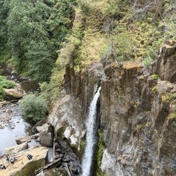 Drift Creek Fall And Bridge