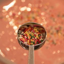 Sub Zero Nitrogen Ice Cream
