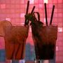 Photo of cactus bar